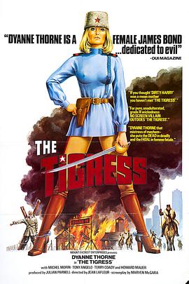 衡水网站排名优化价格